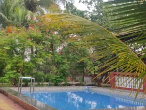 Photo of one of the 2 swimming pools inside Karjat Farm House