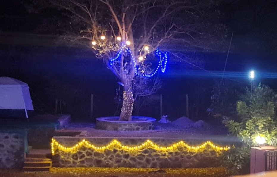 Bhogwal Farm House & Villa