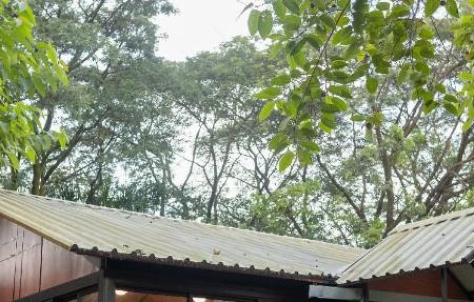 Modi’s Resort – Wanjale Karjat Farmstay