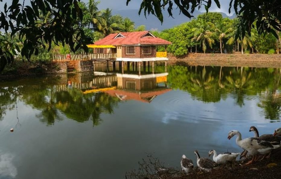 Saguna Baug’s Classic Pond House