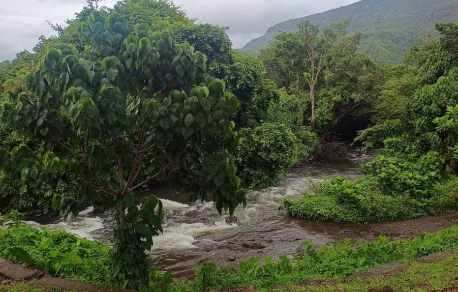 Rokade Mama Farms in Karjat Farmstay