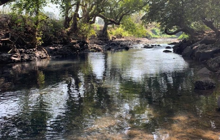 God’s Nest Farm in Karjat