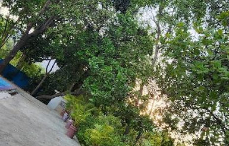 Ivy Maitri Farm in Badlapur