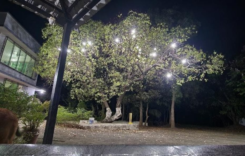 Ivy Maitri Farm in Badlapur