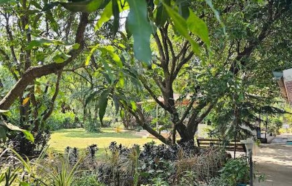 Prince farm House solace in Badlapur