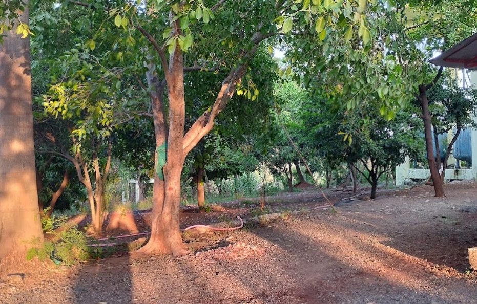 Raigad Farms and Resort in Karjat