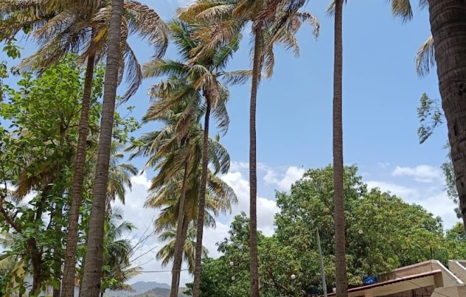 Riverwood Retreat in Karjat