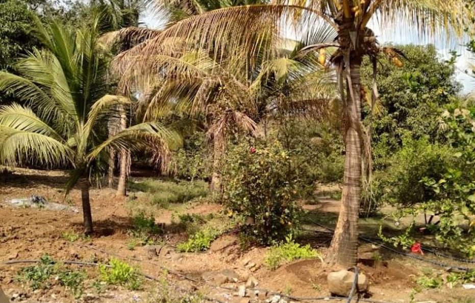 SwapnaPurti Farm in Badlapur