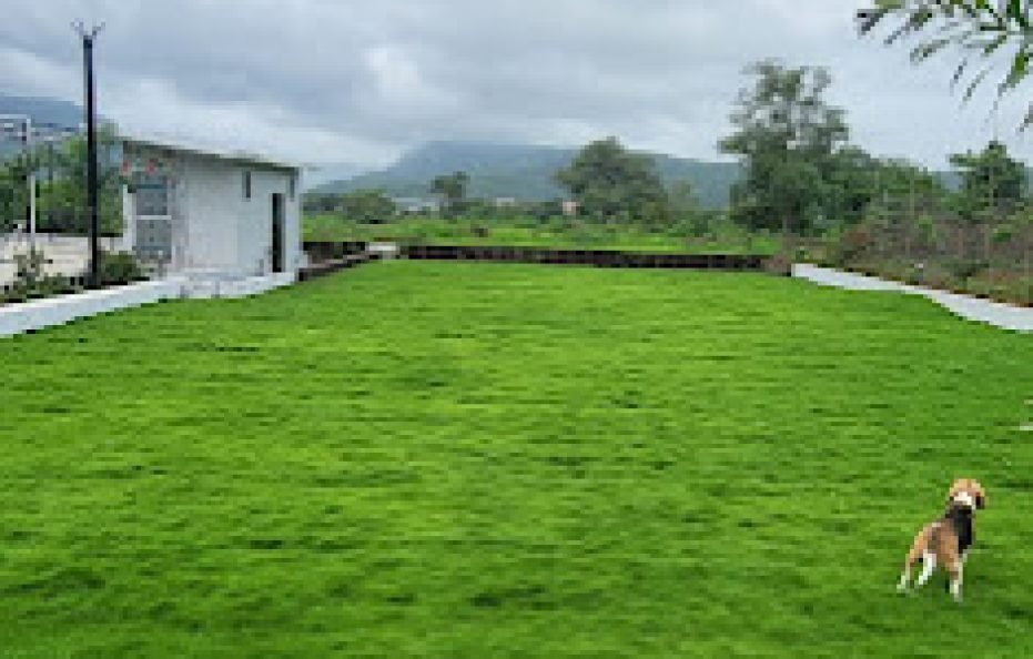 Bollywood Villa By Trinity Stays