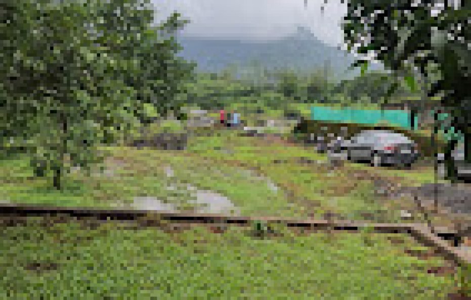 Belifal Farmhouse Karjat