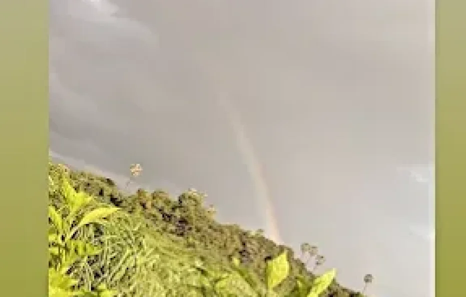 Devansh Farmhouse Neral