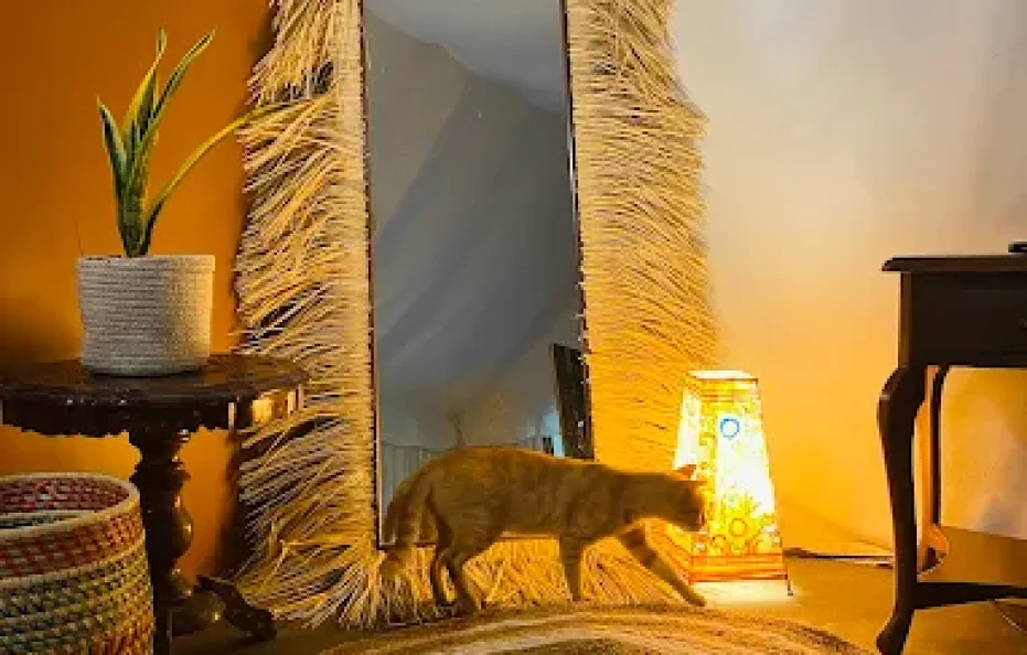 Divine Roots Luxury Stay Neral