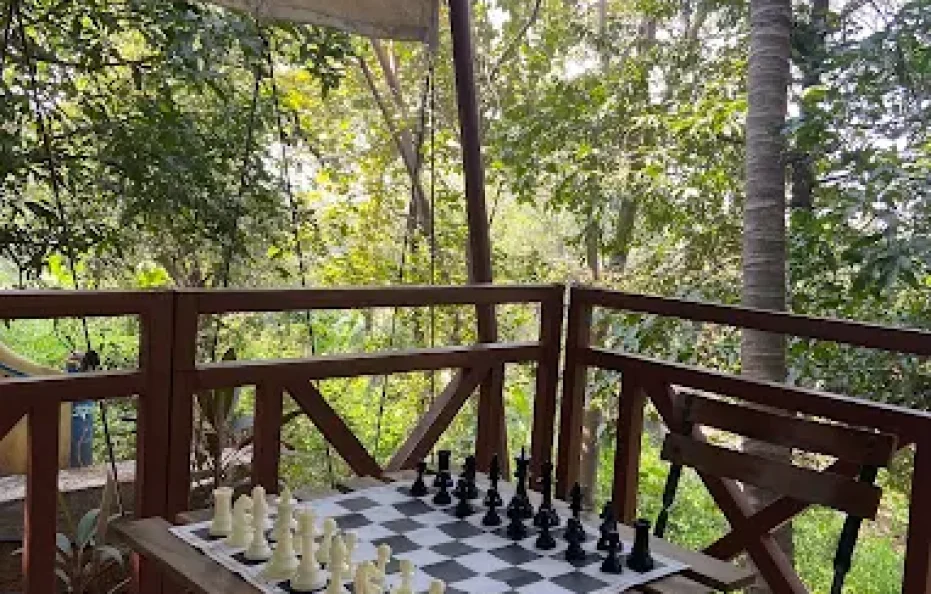 Divine Roots Luxury Stay Neral