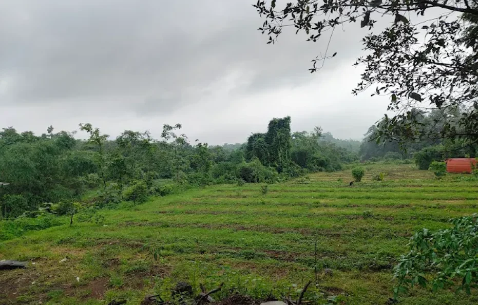 Farm Life Holidays Neral