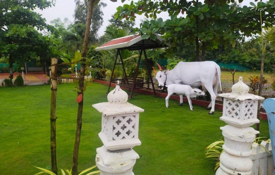 GLR Resort Karjat