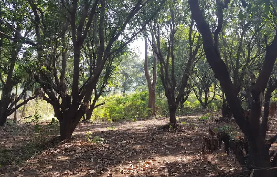 Greenvilla Resort & Shahu Farm Neral