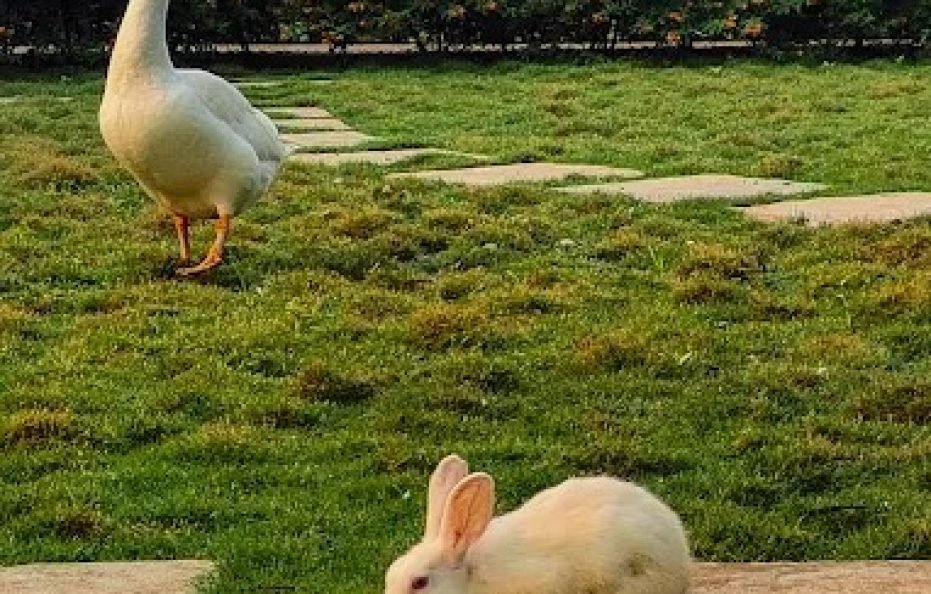 Hill View Villa Karjat