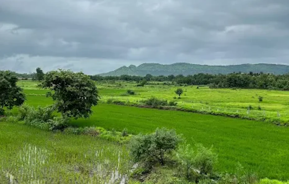 Karjat Hills Villa & Rooms with Pool Karjat