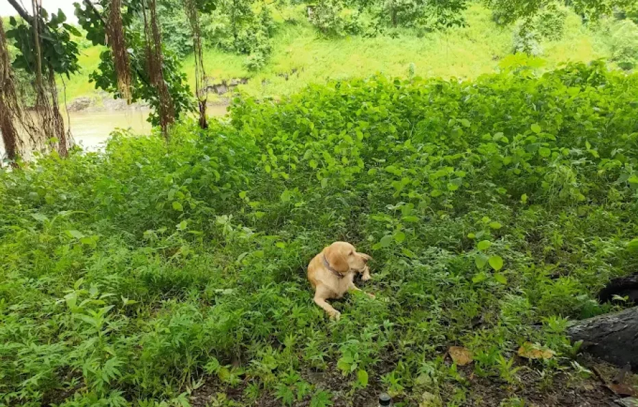 Keystone Farm Resort Karjat