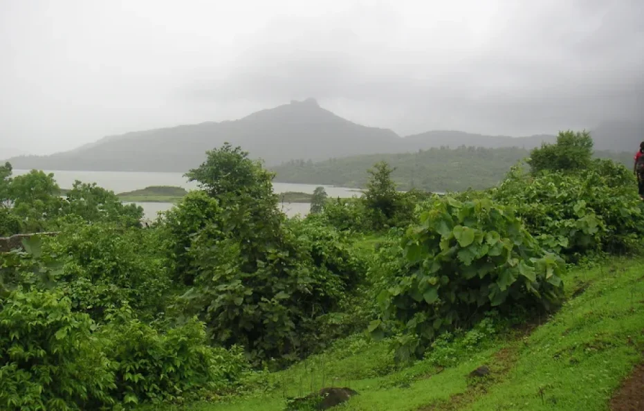 Leela Ivy Farms Karjat