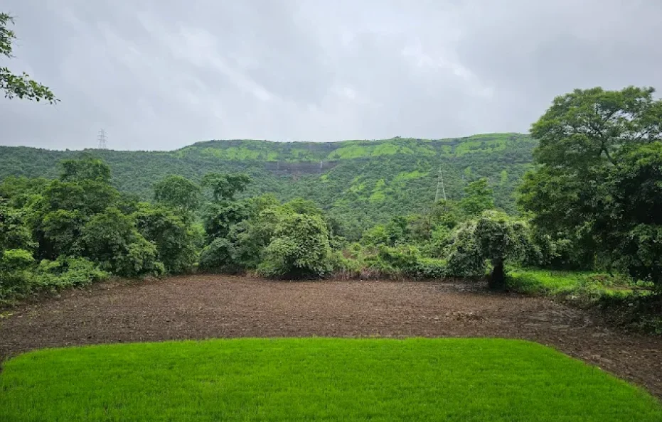 Malhar Farm House Neral