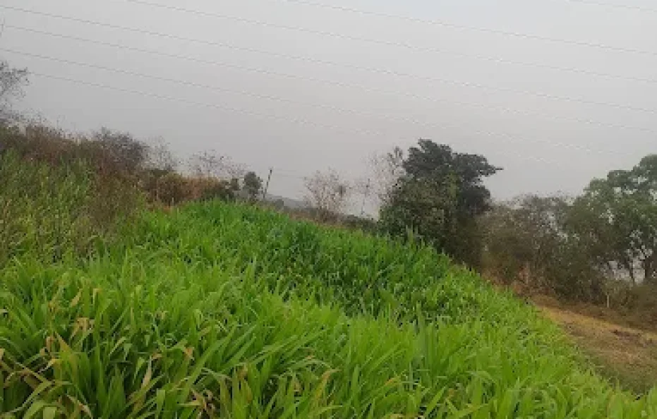 Nisarg Nirmaan Mukund Baug Agro Tourism and Resorts Neral