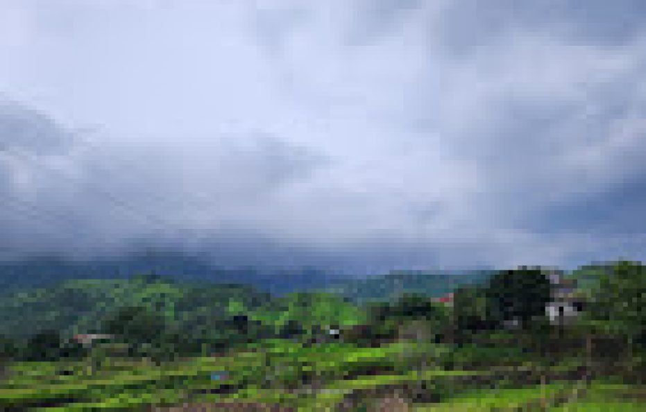 Palmquist Villa Neral