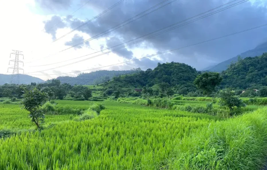 Palmquist Villa Neral