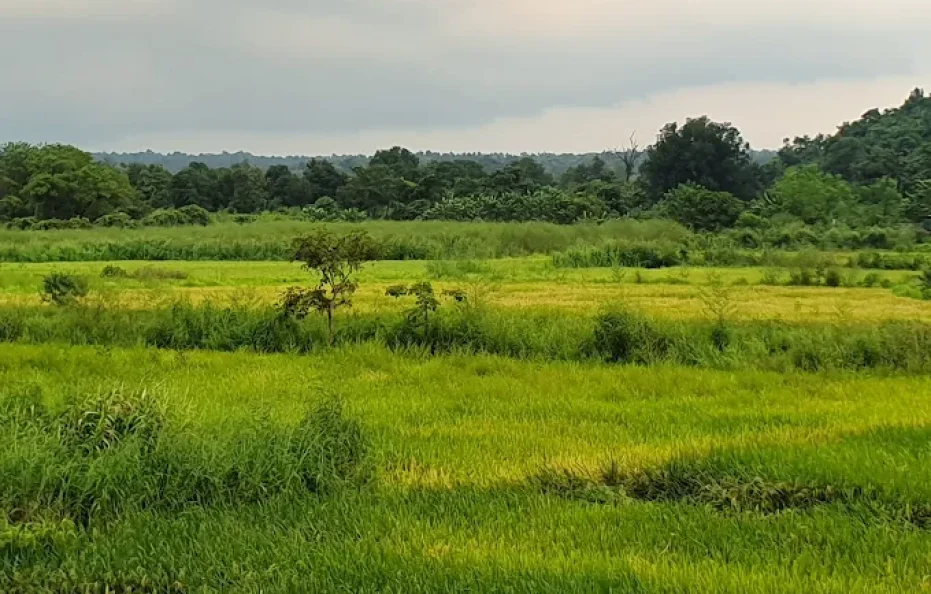 Queens Resort-Kadam’s Farm Badlapur