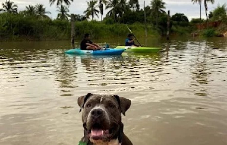Raj Farm House Karjat