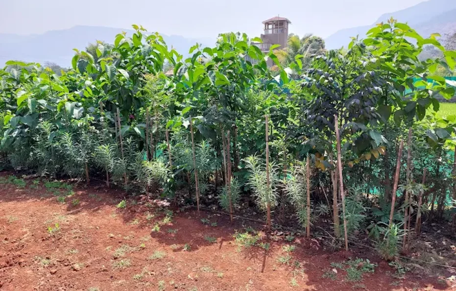 Rama Villa Potal Villa in Karjat