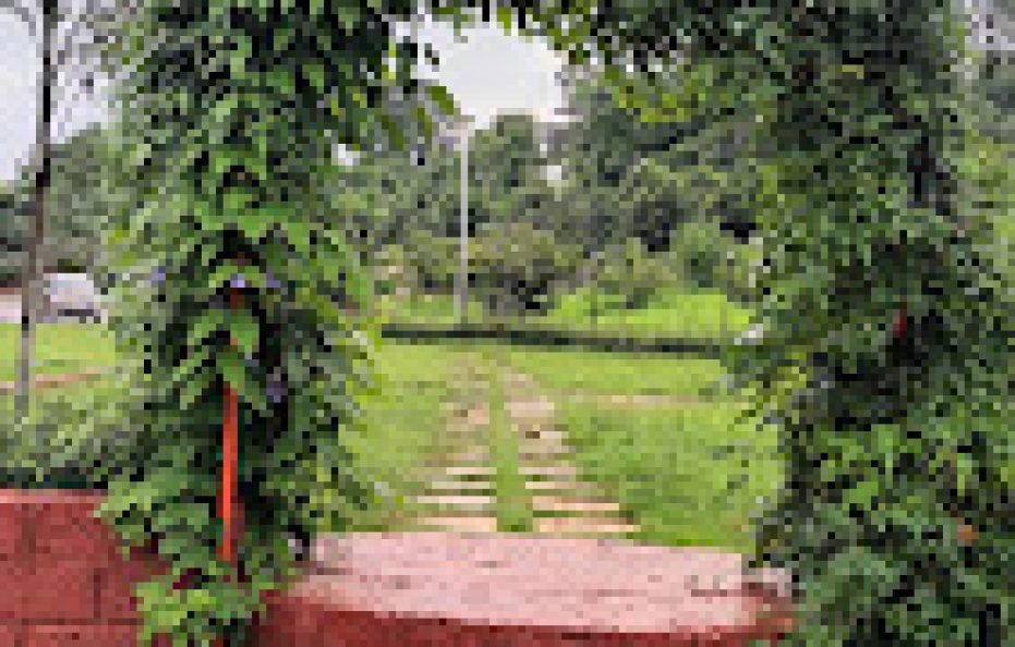 S B Farms Badlapur