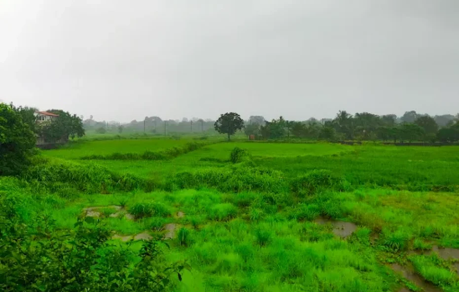 Sfurti Farms Badlapur