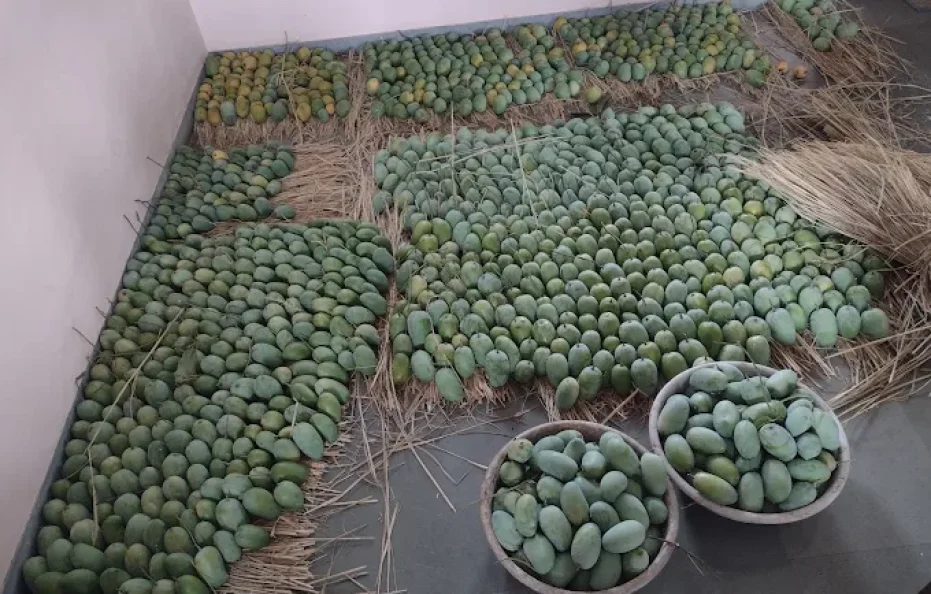 Shalom Farm Home Stay Karjat