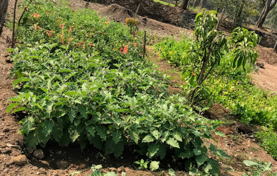 Shangri-La Valley Retreat Karjat