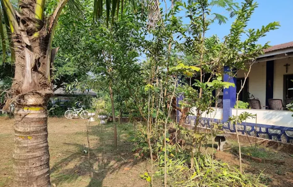 Stranger to Nature Badlapur