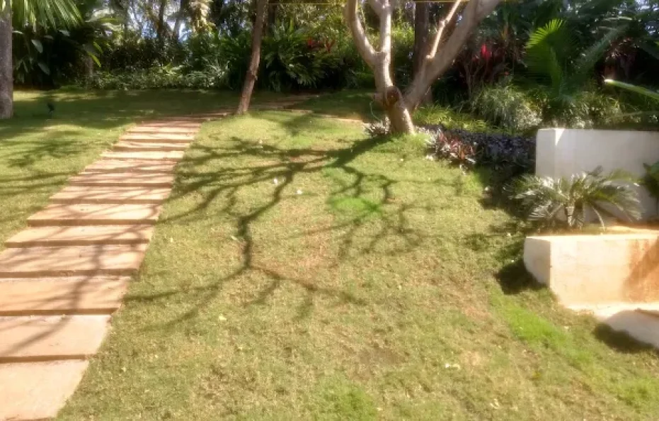 Stranger to Nature Badlapur