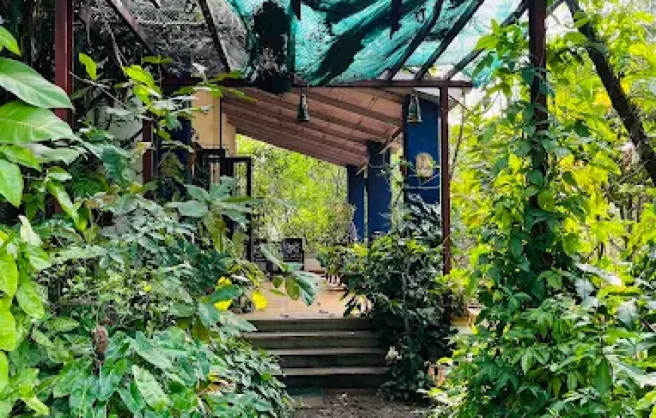 Stranger to Nature Badlapur