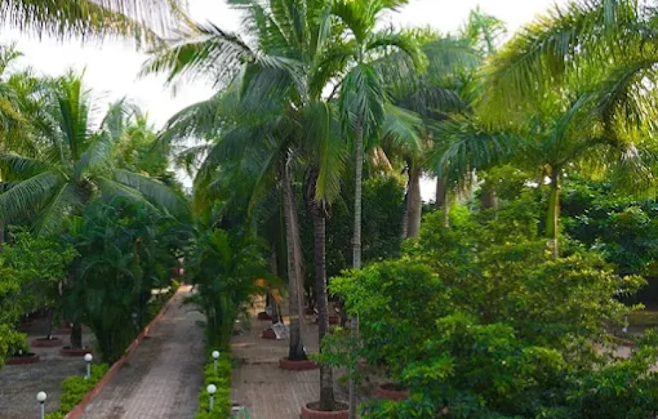 Suryavan Holidays Karjat