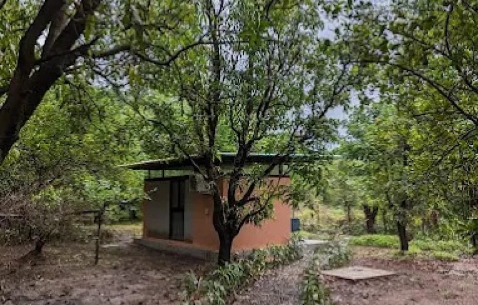 Tenpy Tiny Obelix Karjat