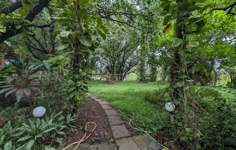 Tenpy Tiny Obelix Karjat