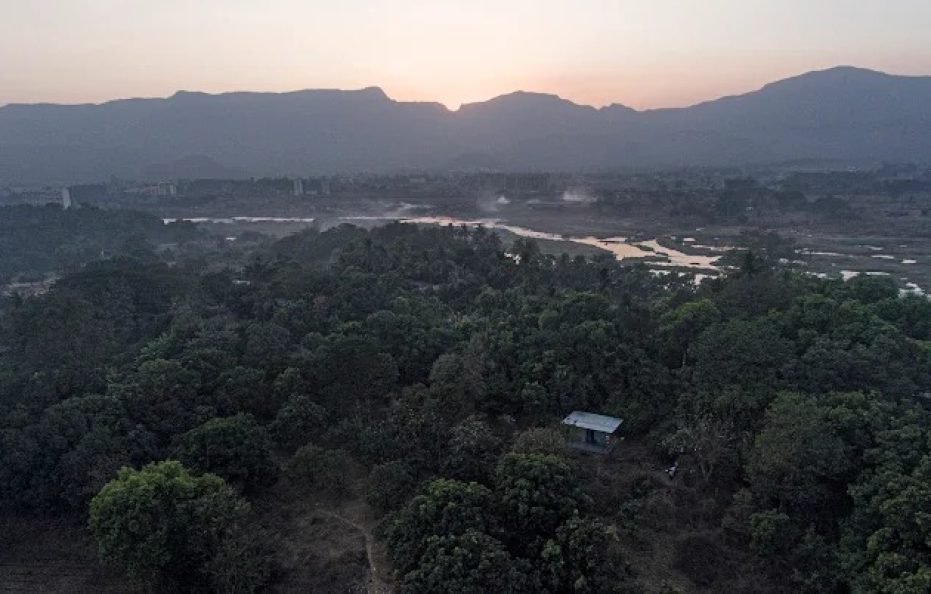 Tenpy Tiny Obelix Karjat