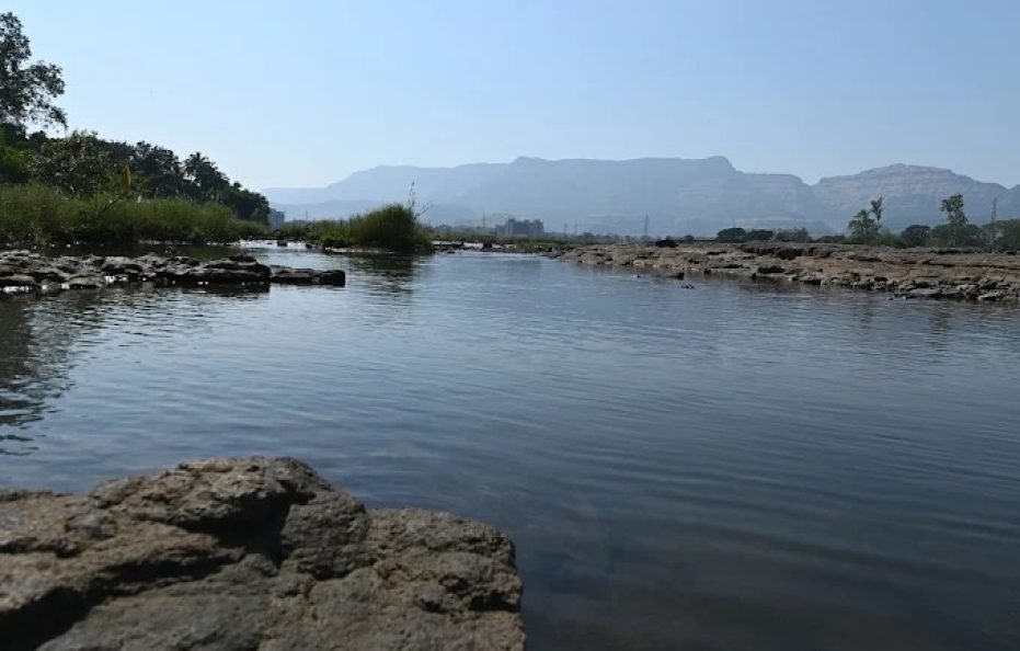 Tenpy Tiny Obelix Karjat