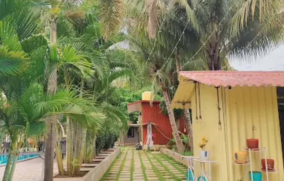 VSF Farm