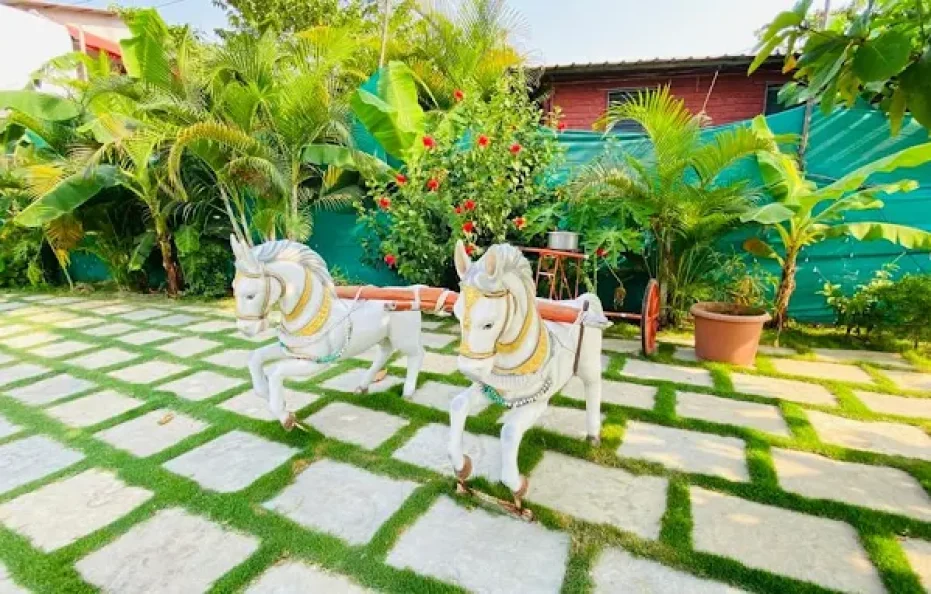 VSF Farm
