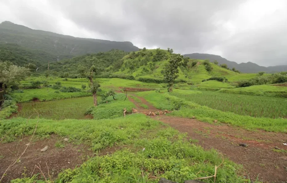 Vishranti Farm Neral