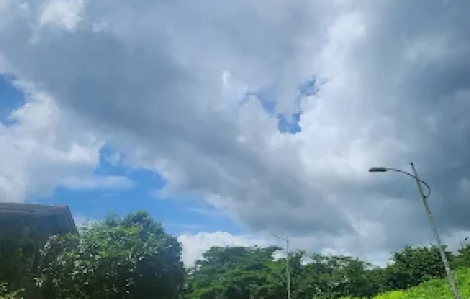 WoodBerry Villa Neral