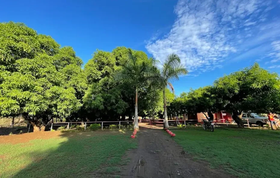 YBR Resort