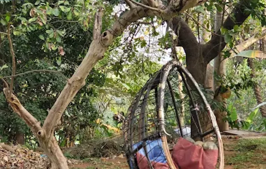 Goldmine Resort Karjat