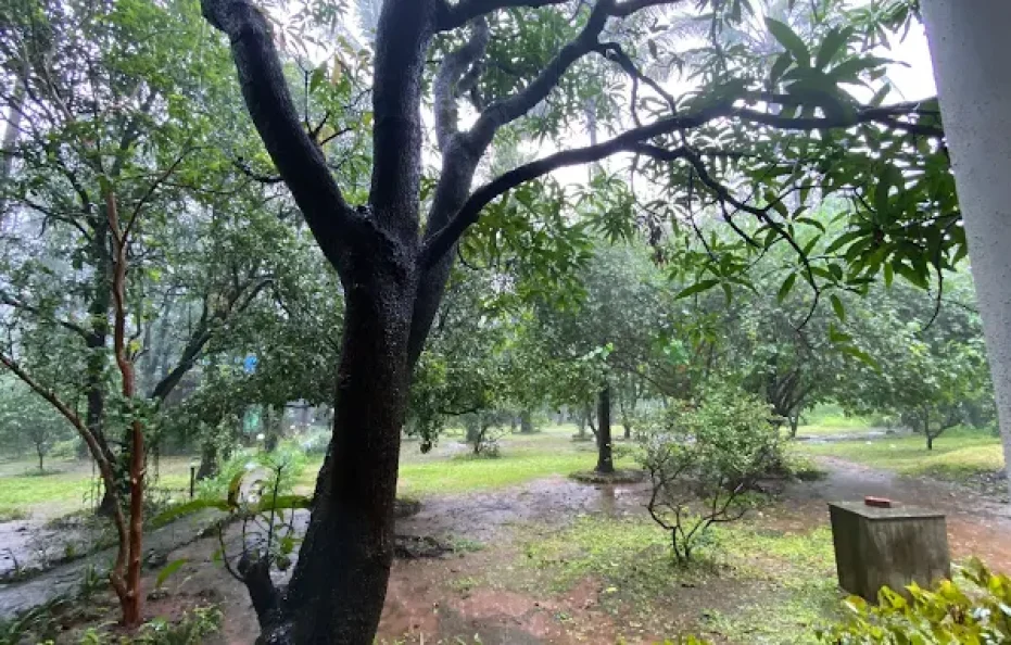 Lsq Rj Farms Karjat